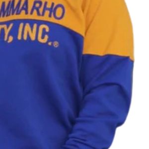 Sudadera de bloque de Color dorado Azul Real, Unisex Jersey de algodón, atuendo escolar de estilo de vida griego, elementos esenciales de uso diario - Product Image 6