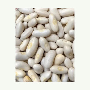 High Quality Organic White <b>Kidney</b> <b>Beans</b> Wholesale Top Seller Black <b>Beans</b> in Bulk - Product Image 3