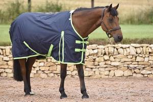 Tapis de participation pour chevaux léger sans remplissage Standard Neck Waterproof - Product Image 5