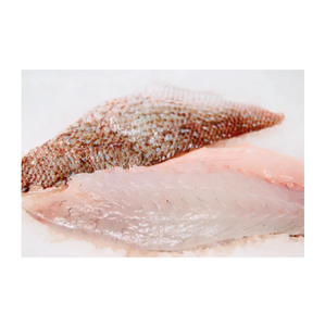 Fournisseur de fruits de mer de première qualité, brème de mer congelée. Poisson de la mer Rouge entier, filet, sans peau, sans arêtes et sans tête - Product Image 1