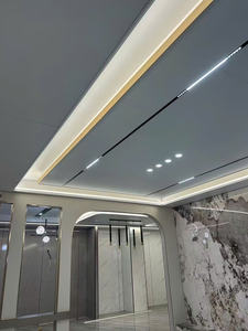 Panneaux en nid d'abeille en aluminium de qualité supérieure, légers mais très résistants, parfaits pour le revêtement des plafonds et des murs dans les bâtiments commerciaux - Product Image 5