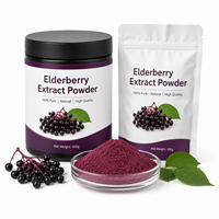 Geconcentreerd Vlierbessenextract Poeder Sambucus Nigra Natuurlijk Fruitextract Groothandel Bulk OEM ODM Aanbod