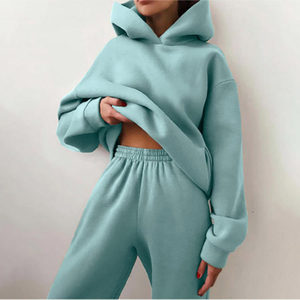 500GSM sudaderas con capucha de peso pesado para mujer moda Otoño Invierno Casual algodón grueso mujer Top Color sólido sudaderas con capucha sudadera pulóver - Product Image 5