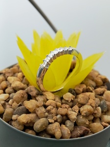 Compromiso Anillo de bodas clásico Mujer Fine Solitaire VVS Lab Grown 2ct Princess Cut Diamond 14K 18K Gold GIA IGI Certified - Product Image 6