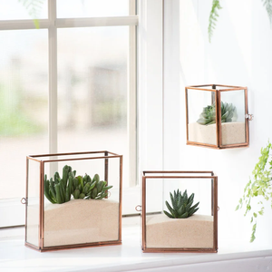 Caja de vidrio transparente de forma cuadrada con marco de Metal moderno exclusivo y superventas Vintage con acabado dorado, decoración de plantas de terrario - Product Image 1