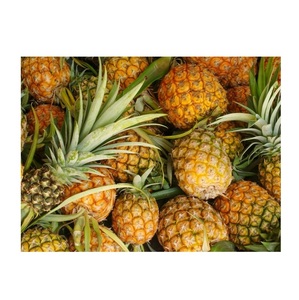 Piña Fresca Natural de Calidad de Exportación, Sabor Agridulce, Hermoso Color Dorado, Súper Dulce - Product Image 5