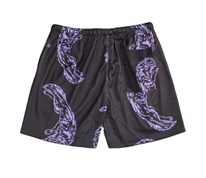 Pantalones cortos de malla de color sólido de verano de calidad superior de nueva fabricación Pantalones cortos de malla de sublimación de secado rápido para hombres - Product Image 2