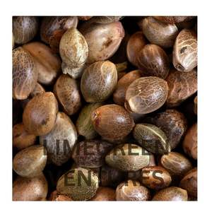 Semillas de Cáñamo Orgánicas Peladas para Aceite, Exportación al por Mayor desde India, Marca Double Tongues, 12 Meses de Duración - Product Image 1