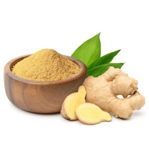 Extracto Herbal en Polvo de Andrographis Paniculata |   Ingrediente de Suplemento Alimenticio Tailandés |   Contenedor de Plástico |   Cultivo Silvestre |   Grado | - Product Image 2