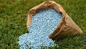 TE Soluble en Agua NPK 20-20-20 Fertilizante de Fosfato para Riego - Product Image 2