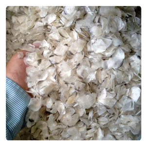 Écailles de poisson séchées pour la production de collagène, exportation en vrac, produit agricole - Product Image 1