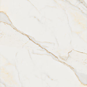 Excellente conception, modèle spécial, carreaux de sol en porcelaine émaillée, fabrication en Inde pour les murs et les sols. - Product Image 3