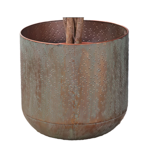 Maceta de flores de diseño en relieve al precio más bajo, accesorios de decoración de jardín para el hogar, maceta de flores de Metal de estilo único - Product Image 4