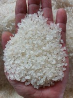 Camolino Riz blanc égyptien + 84 976727907 (Mme Carolina)