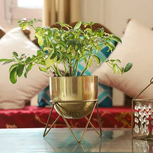 Ensemble de jardinières de sol modernes de luxe en métal argenté brossé, pots à fleurs cylindriques hauts en acier inoxydable pour intérieur - Product Image 6
