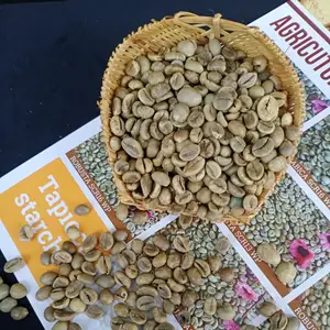 Grains verts purs Robusta écran 13/16/18 grains de café en gros du Vietnam | WS + 84969732947
