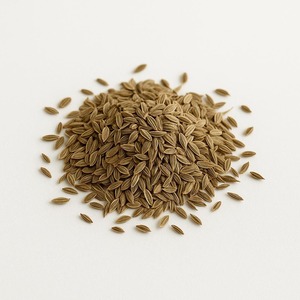 Compre 100% semillas de eneldo secas y limpias puras Calidad de exportación Suministro a granel de semillas de eneldo con aroma - Product Image 6