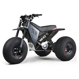 Venta 2025 MI/N/I R-C-R T3 E/liteS E/TrikeS Elec/tricS Triciclos Eléctricos de 3 Ruedas, Entrega Rápida - Product Image 2