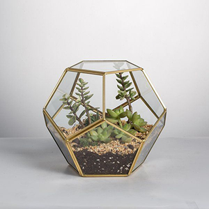 Produit le plus vendu Verre transparent Géométrique Or Fini Hexagone Forme Jardin Mousse Air Plantes Décoration Maison Table Terrarium - Product Image 4