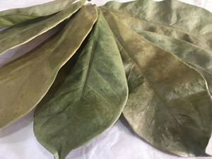 สมุนไพรออร์แกนิกธรรมชาติจากเวียดนาม - Product Image 3