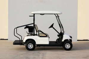 Carrito de Golf WLDT2 2021, Extremadamente Limpio, Exterior Blanco, Interior Beige, Mini EV, 2 Plazas - Product Image 5