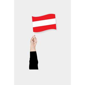 Drapeau autrichien personnalisé avec logo pour événements - Product Image 1