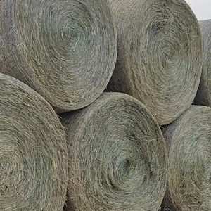 หญ้าชนิตสำหรับม้าและวัวควายอาหารสัตว์อายุการเก็บรักษา12เดือนบรรจุในถุง - Product Image 1