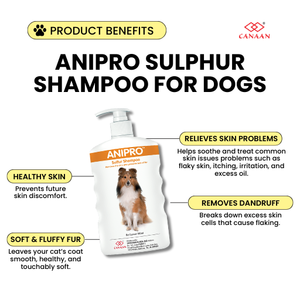 Shampoo Naturel au Soufre Anipro Écologique pour Chien – Apaise les Démangeaisons, les Pellicules et la Perte de Poil – Stock Disponible, Livraison Rapide - Product Image 2