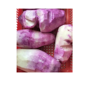 มันเทศแช่แข็งที่สะอาดและอร่อยส่งตรงจากฟาร์มเวียดนามเหมาะสำหรับซุปหวานๆอาหารนึ่งและขนมอบ - Product Image 2