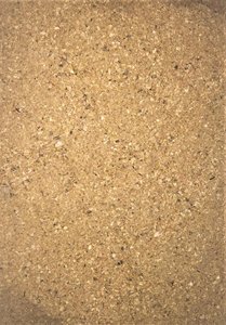 Vente en gros de farine naturelle de coquille de crevette pour l'alimentation animale de poudre de coquille de crevette d'usine - Product Image 4