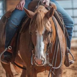 Rênes de cheval réglables en cuir de buffle avec boucle en acier inoxydable, corde robuste pour l'équitation et l'entraînement des animaux de compagnie - Product Image 3