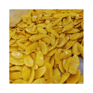 Mango Deshidratado de Alta Calidad de 99 Gold Data |   Fruta Deshidratada de Alta Calidad |   Mango Seco Suave de Alta Calidad a Buen Precio - Product Image 3