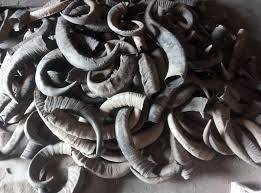 ผลิตภัณฑ์เขาควายที่ทำด้วยมือเป็นมิตรกับสิ่งแวดล้อมอุปกรณ์เสริมที่ทันสมัยทนทานสำหรับใช้ในชีวิตประจำวันเทคนิคดิบสไตล์สัตว์ - Product Image 6