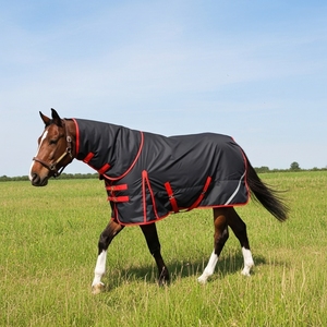 Tapis de cheval professionnel chaud hiver couverture stable approvisionnement équestre participation Standard couverture imperméable Sports de plein air - Product Image 1
