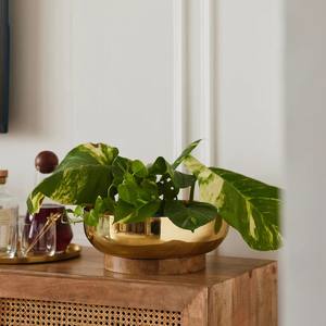 Cuenco de chapa de metal con acabado dorado de alta calidad hecho a mano con técnica pulida de base de madera natural para decoración de fiestas - Product Image 2