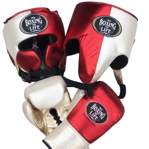 No Boxing No Life Boxing Set Championship Gloves <b>Head</b> Guard Groin Guard Professional <b>Training</b> Kit for Boxing Oem Gym For Adults - Product Image 3