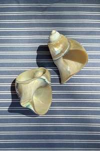 แหวนผ้าเช็ดปากเปลือกหอยที่ทำจากเปลือกหอยขัดเงาสำหรับตกแต่งโต๊ะจัดเลี้ยงและบ้านชายฝั่งทำด้วยมือแบบเวียดนาม - Product Image 2