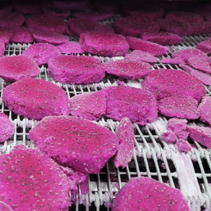 Rodajas de fruta de dragón congelada de Vietnam | Exportador de fruta tropical IQF, la mejor calidad, precio directo de fábrica - Product Image 5