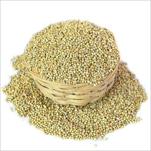 Millet jaune non glutineux séché naturel et sain pour l'alimentation des oiseaux - Product Image 1