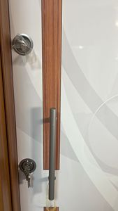 Puertas Exteriores de Acero Inoxidable 304 de Seguridad Moderna, Anti-Robo, Acabado Manual, Color Personalizado, Fabricante Turco - Product Image 2