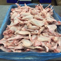 Ailes de poulet surgelées HALAL IQF de qualité supérieure, 3 articulations, nutritives, décaféinées, sans sucre, emballées sous vide, 10 kg, livraison rapide premium