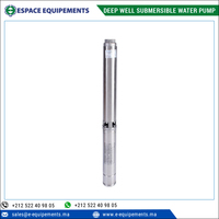 Fabricant leader de pompes à eau submersibles pour puits profonds de 4 pouces pour l'irrigation légère et l'approvisionnement en eau résidentielle