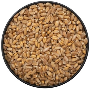 Grains de blé tendre et dur blancs à vendre Emballage personnalisé Prix raisonnable de haute qualité - Product Image 4