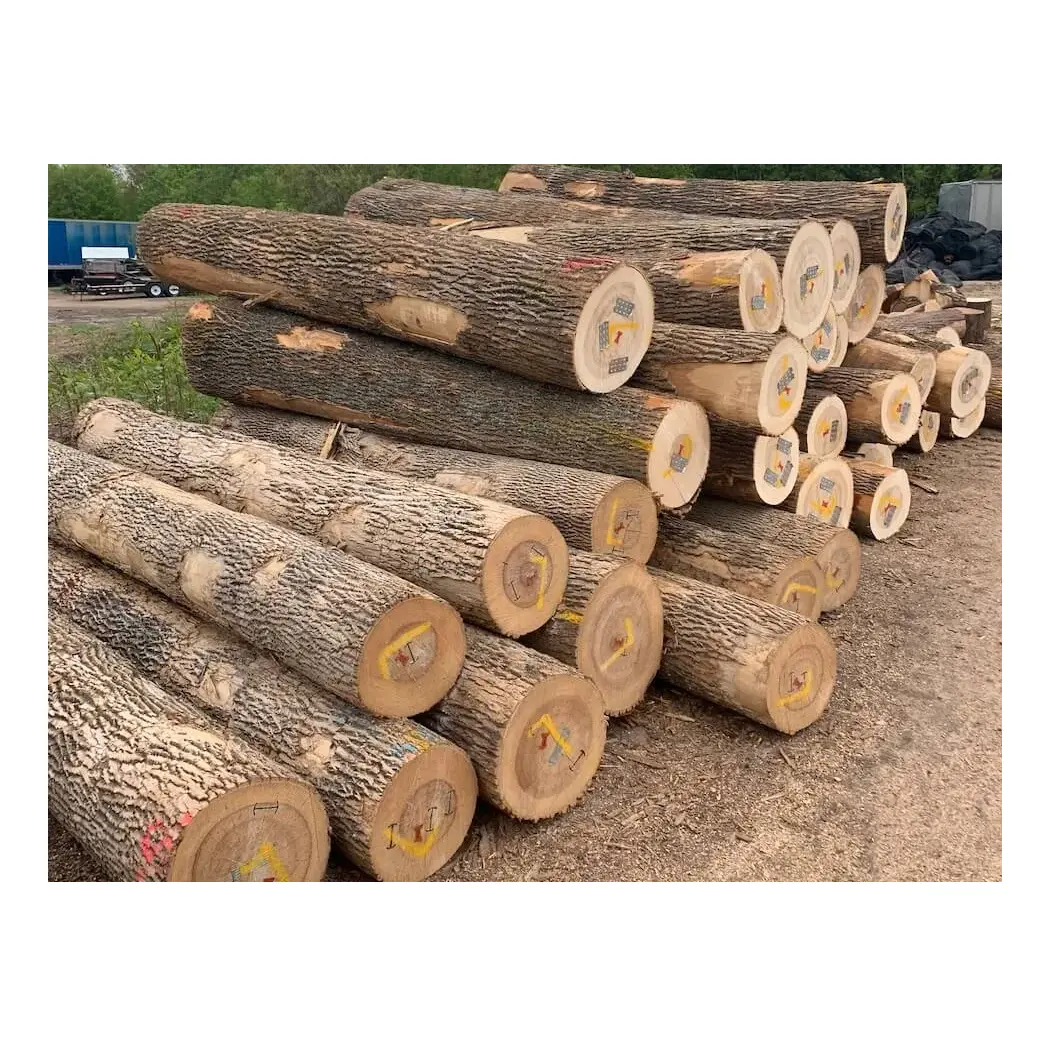 Wholesale Price Pine Wood Logs For Timber For Sale