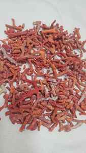 หินปะการังแดงอิตาลี หินธรรมชาติ สำหรับทำเครื่องประดับ คุณภาพดี สีสวย - Product Image 2