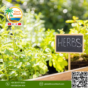 Bloque de Cocopeat para acondicionamiento de suelo de coco orgánico Premium para horticultura hidropónica 100% proveedor comprimido de Vietnam a granel - Product Image 5