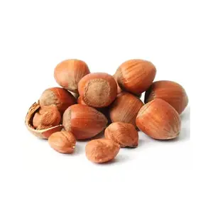 Hazel Nut Organic Venta caliente Hazel Nut 100% calidad original con precio barato avellanas