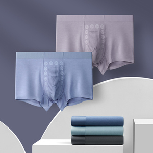 Pantalones de hombre de terapia de campo de energía, Calzoncillos Bóxer sin costuras, ropa interior elástica de bambú Modal con diseños personalizados con logotipo para hombre, envío DDP - Product Image 1