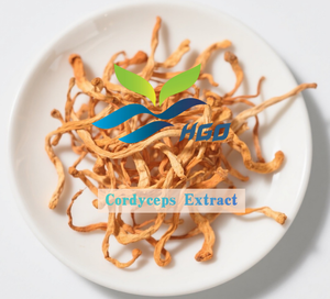 HGO Factory Fourniture directe d'extrait de mycélium de Cordyceps naturel pur (qualité alimentaire) Spécification Cordycepin 10% Cordyceps Extract - Product Image 2