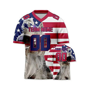 Customize Embroidery Baseball Jersey Style Custom Jersey <b>Bristol</b> Design Pullover Baseball Shirts - Product Image 5